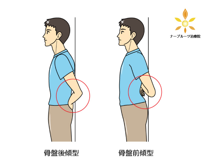 骨盤矯正】に有効なストレッチ＆エクササイズ全集 ｜ 「東中野駅」徒歩